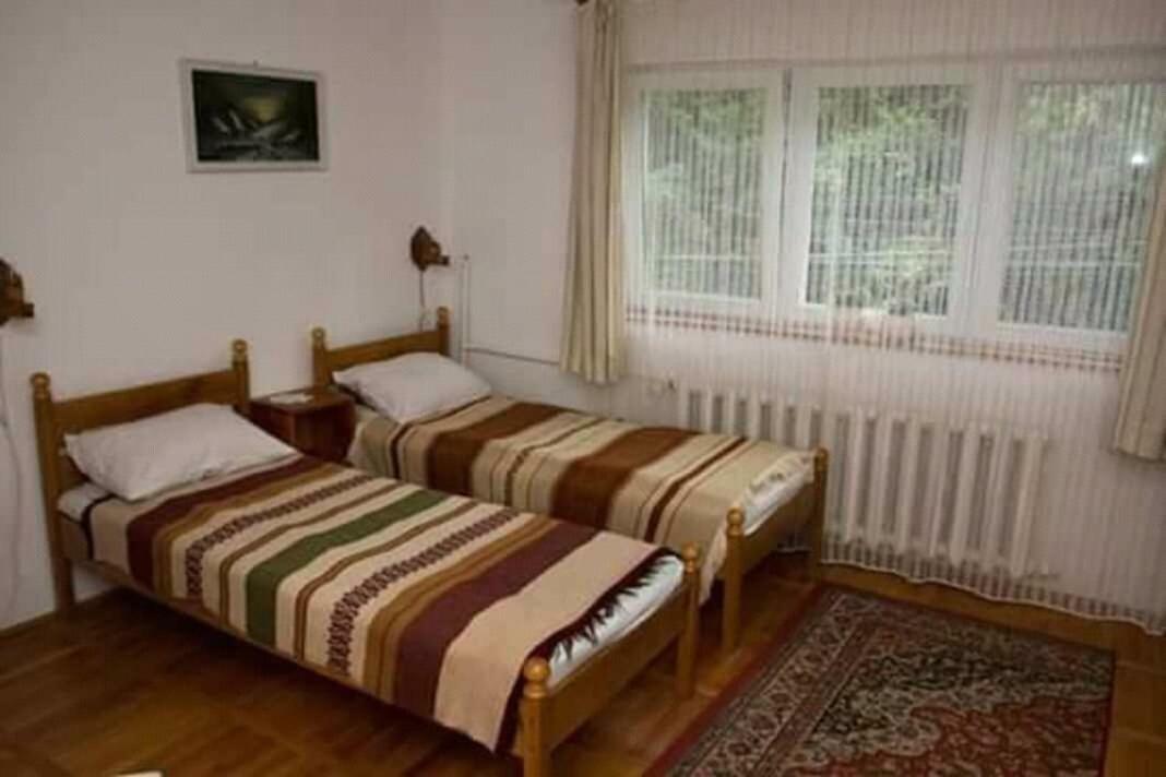 Pensiunea Bordas Panzio Sfântu-Gheorghe Dış mekan fotoğraf